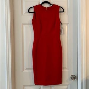 Classic, NWT Calvin Klein Dress